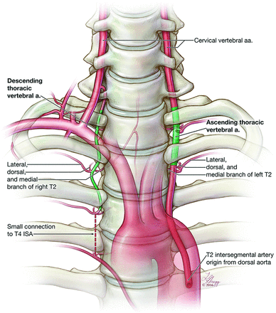 Fig 1.