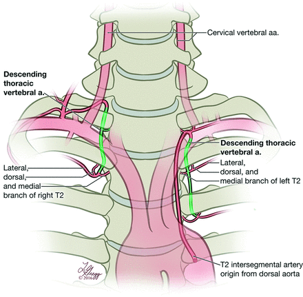 Fig 10.