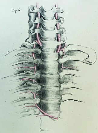 Fig 12.