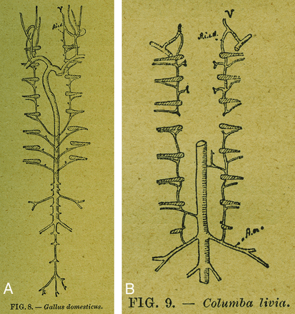 Fig 17.