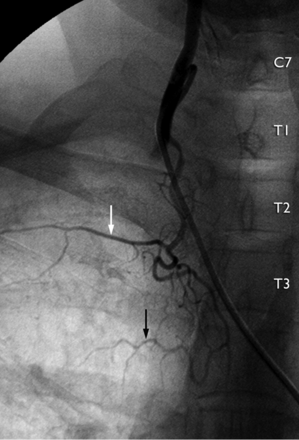 Fig 6.