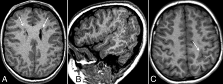 Fig 1.