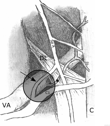 Fig 5.