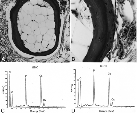 Fig 5.