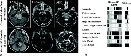Fig 1.