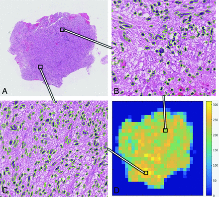 Fig 1.
