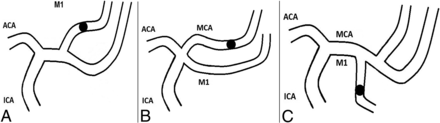 Fig 5.