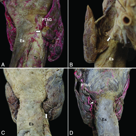 Fig 2.