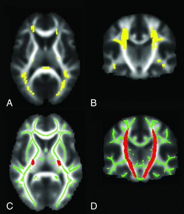 Fig 1.