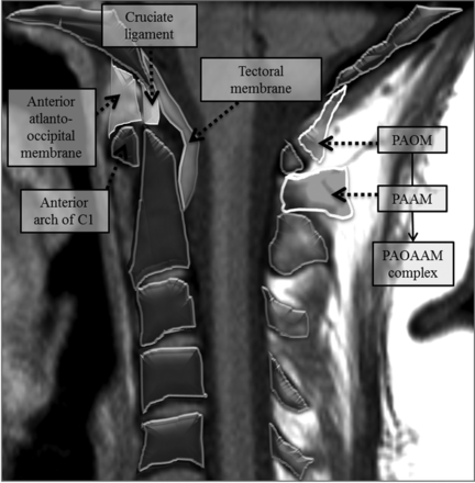 Fig 1.
