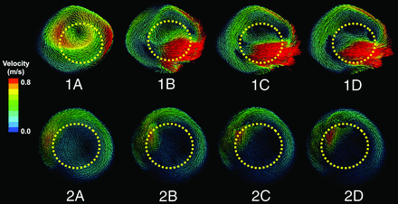 Fig 3.