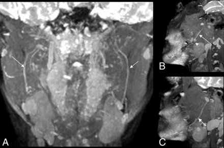 Fig 1.