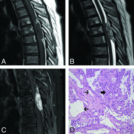 Fig 3.