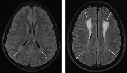 Fig 1.