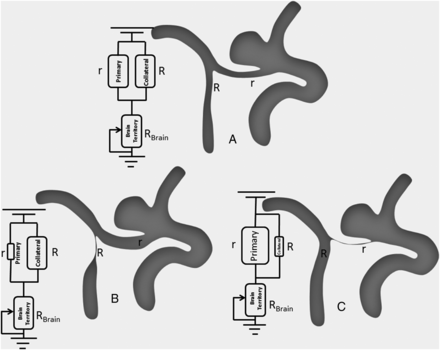 Fig 2.