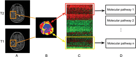 Fig 2.