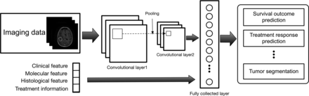 Fig 3.
