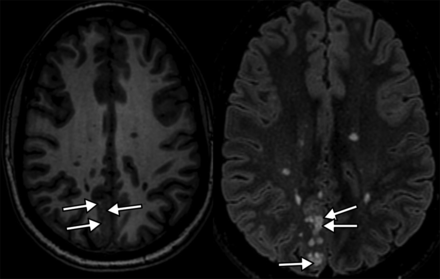 Fig 1.