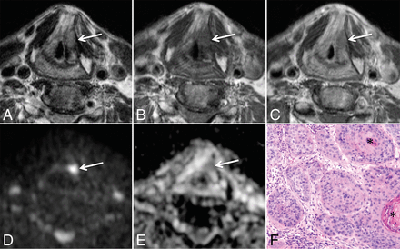 Fig 1.
