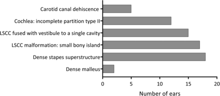 Fig 1.