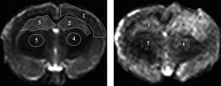 Fig 1.