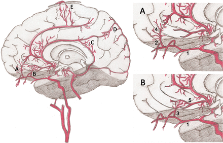 Fig 3.