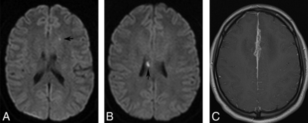 Fig 3.