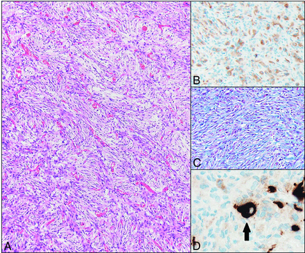 Fig 3.