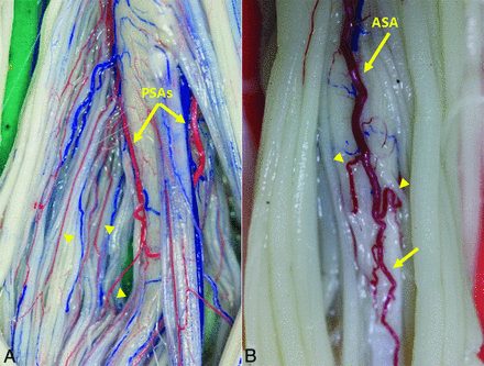 Fig 5.