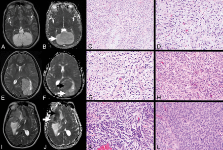 Fig 1.