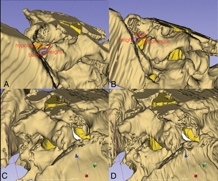 Fig 3.
