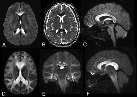 Fig 1.