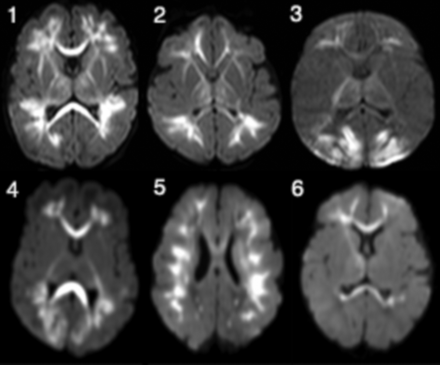 Fig 1.