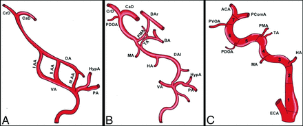 FIG 1.