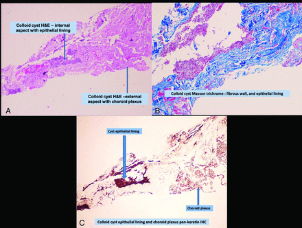 FIG 6.