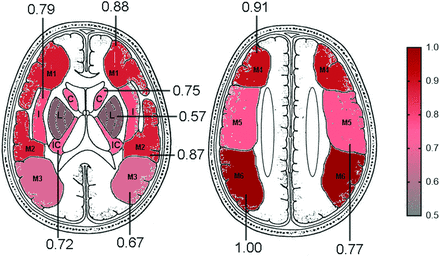 FIG 5.