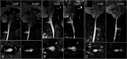 FIG 3.