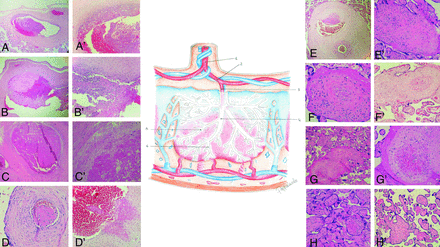 FIG 4.