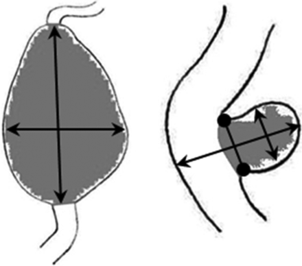 Fig 1.