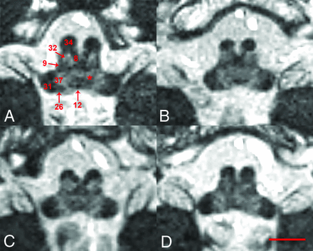 Fig 5.