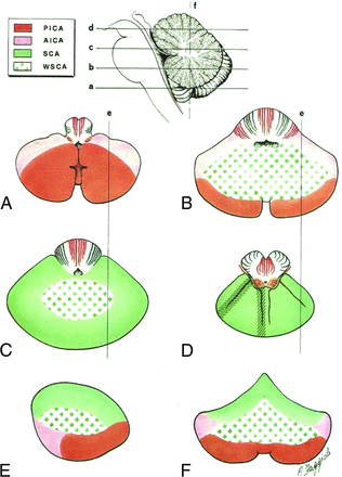 Fig 2.
