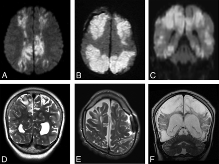 Fig 7.
