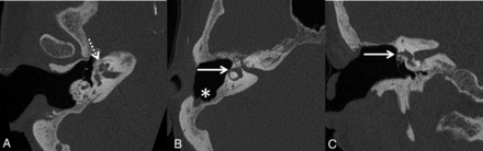 FIG 7.
