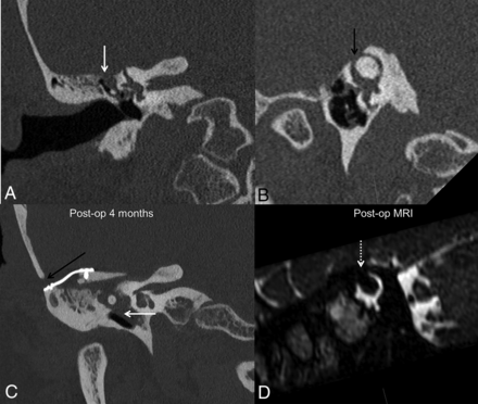 FIG 8.