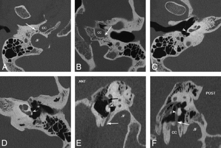 FIG 7.