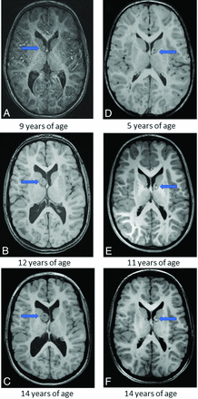FIG 1.