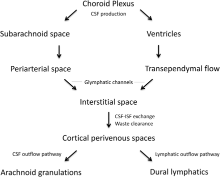 FIG 1.