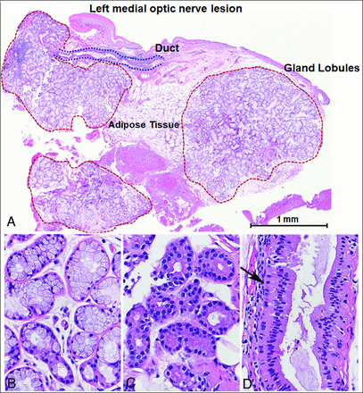 FIG 4.