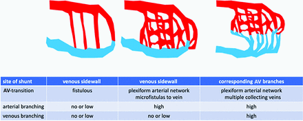 FIG 1.