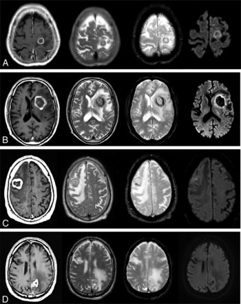 FIG 1.